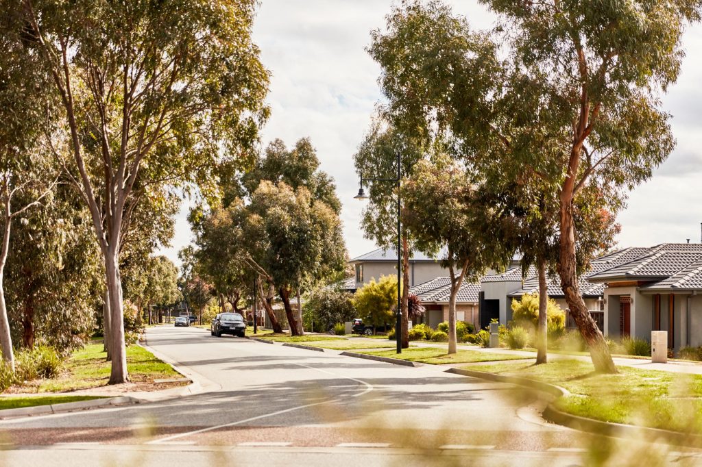 Botanic Ridge Streetscape